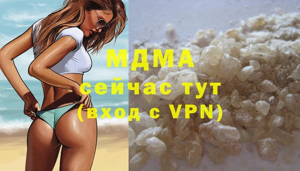 прущие грибы Медвежьегорск