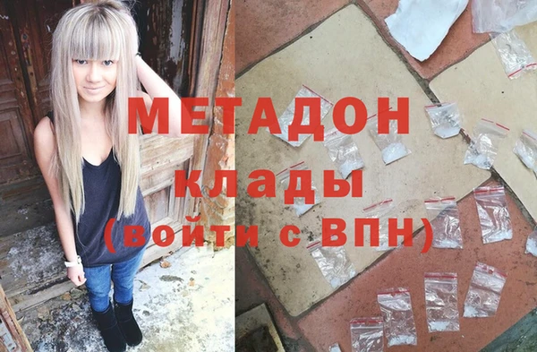 прущие грибы Медвежьегорск