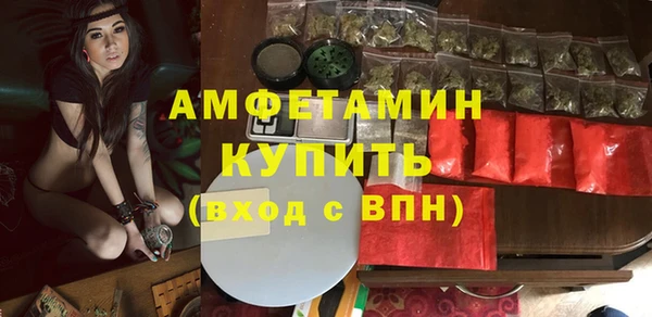 прущие грибы Медвежьегорск
