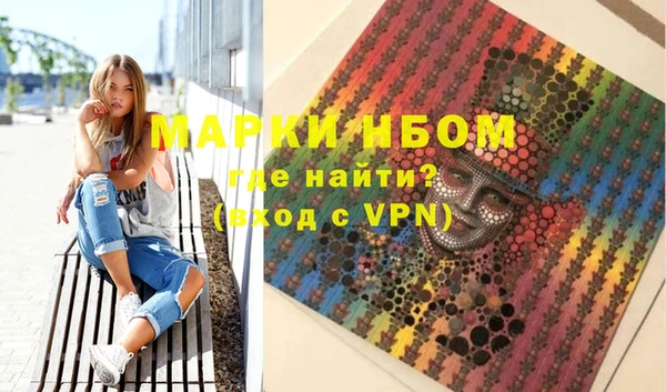 прущие грибы Медвежьегорск